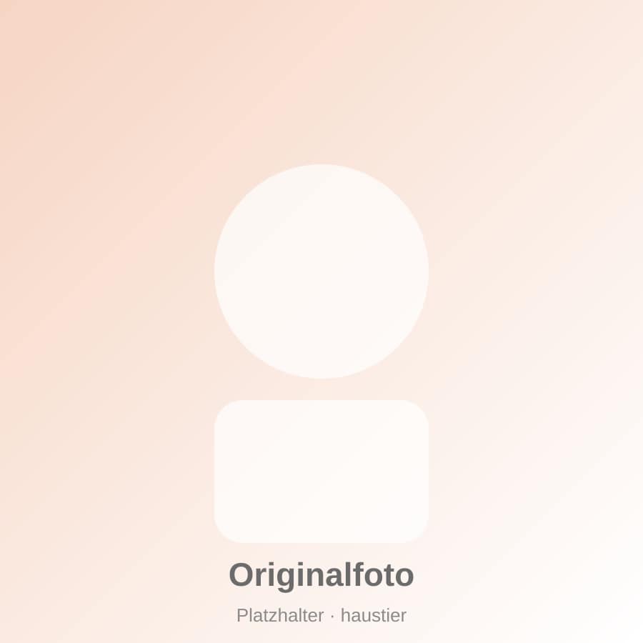 Haustier – Originalfoto